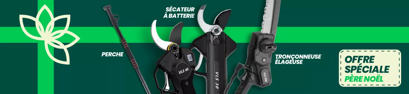 Verts Loisirs Offre Noël
