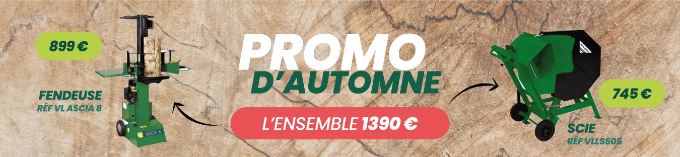 Promo d'automne fendeuse et scie